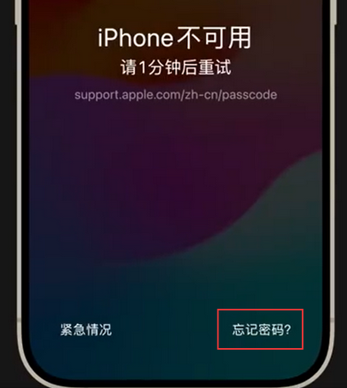 茶陵苹果手机密码维修分享iPhone忘记了刚设置的密码 
