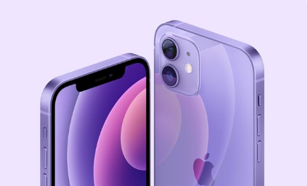 茶陵苹果手机维修分享紫色版iPhone 12有什么技术亮点 