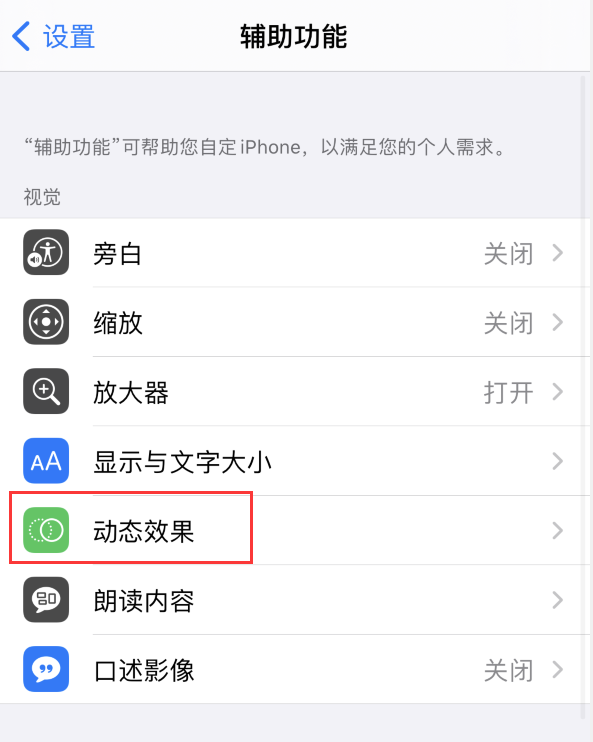 茶陵苹果手机维修分享iPhone 12 退出应用时没有动画显示，如何设置 